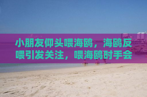 小朋友仰头喂海鸥，海鸥反喂引发关注，喂海鸥时手会被咬吗？